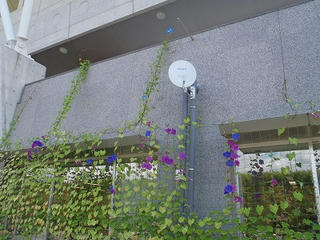PA040001.jpg