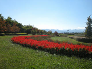 IMG_2593.JPG