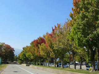 IMG_4923-01.jpg