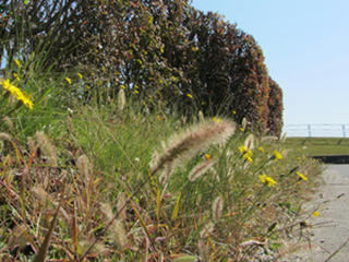 IMG_4928-01.jpg