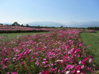 IMG_4953-01.jpg