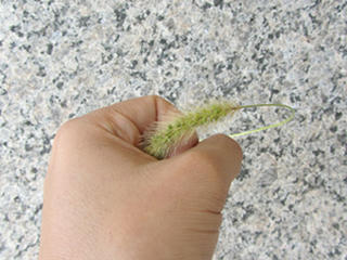 IMG_4993-01.jpg