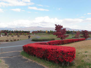 PA310009.jpg