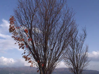 DSCF6085.JPG