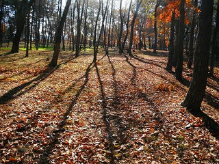 DSCF0324.jpg
