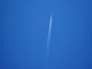 DSCF0328.jpg