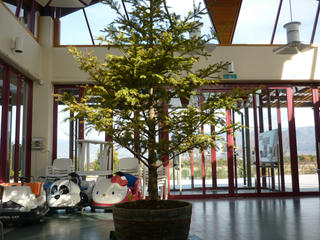 P1010323.JPG