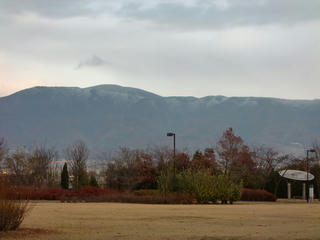 CIMG6350.jpg