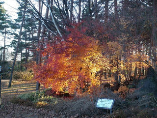 PB250040.jpg