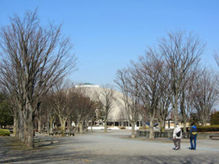IMG_6204-01.jpg