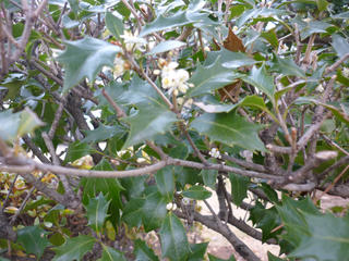 P1010328.JPG