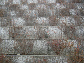 IMG_1842_R.JPG