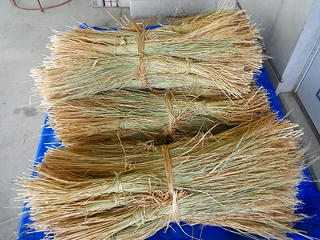DSCF0383.jpg