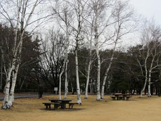 IMG_6355-02.jpg
