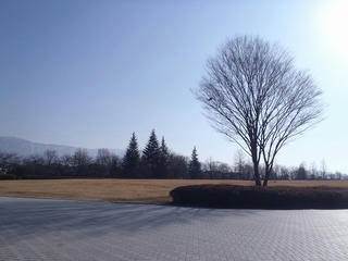 PC232509.jpg