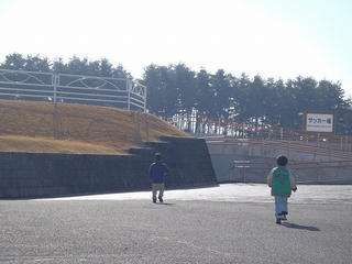 PC232531.jpg