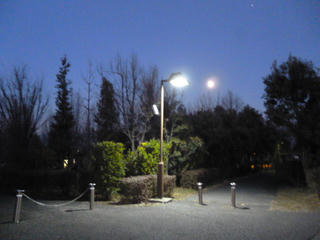 P1040466.JPG