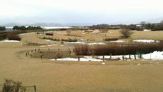 NEC_0046.jpg