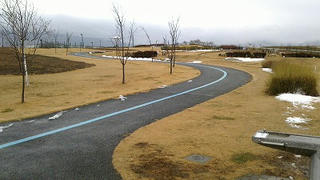 NEC_0047.jpg