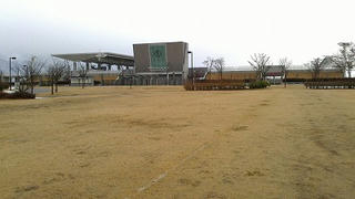 NEC_0048.jpg