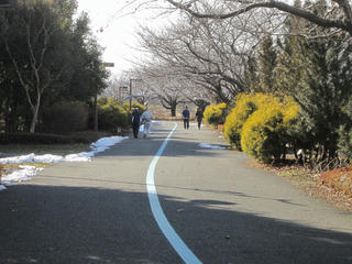 IMG_2966.jpg
