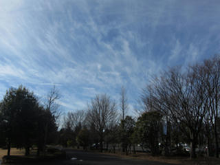 IMG_6692-01.jpg