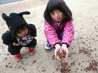 P1020038.jpg