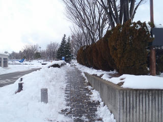 P1172688.jpg