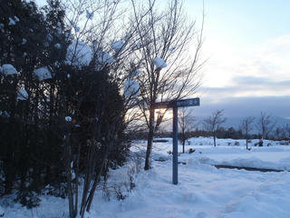 P1202697.jpg