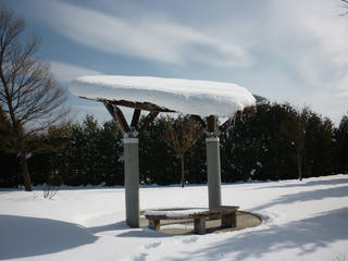 P1010425.JPG