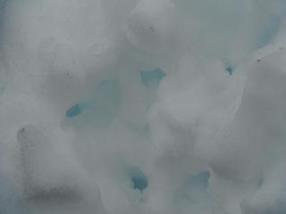 DSCF0447.jpg