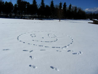 IMG_7275-02.jpg