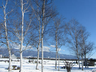 IMG_7272-02.jpg
