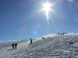 IMG_7308-01.jpg