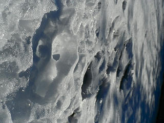 DSCF0452.jpg