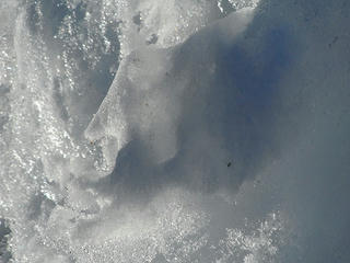 DSCF0455.jpg