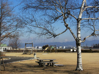 IMG_7356-02.jpg