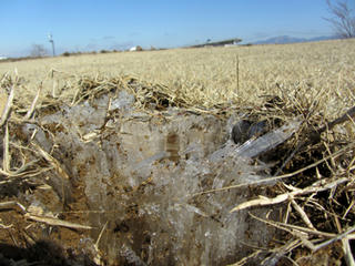 IMG_7366-02.jpg