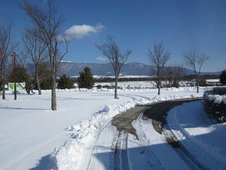 IMG_2104_R.JPG