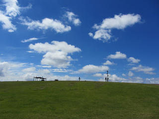IMG_0756-01.jpg