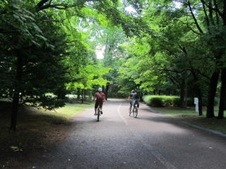 IMG_0761-01.jpg