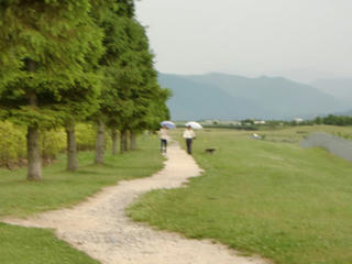 CIMG8216.jpg