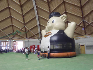 P6223461.JPG