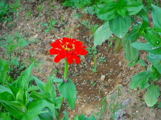 DSCF1025.jpg