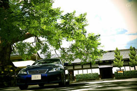 bd530d2a.jpg