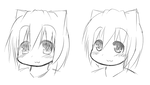 1531ff03.png
