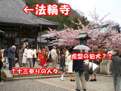 blog080329.jpg