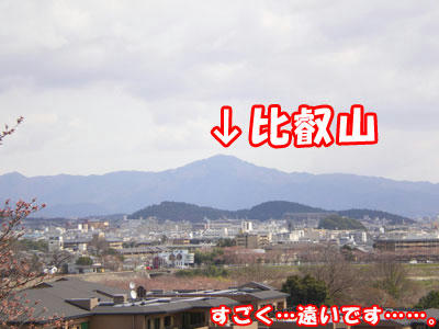blog080329_2.jpg