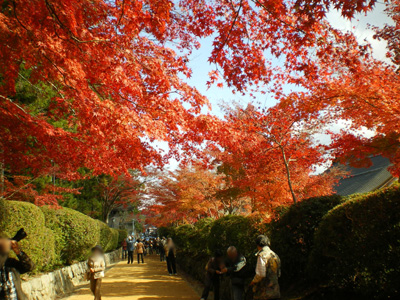 2009年高野山