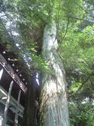 PAP_0096.JPG